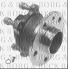 BORG & BECK BWK1197 Wheel Bearing Kit